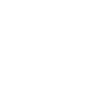 Root